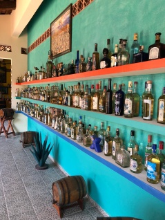 A very LARGE collection of tequila!