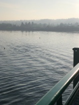 A lovely morning for a ferry ride...