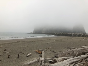 Looking out at James Island from 1st Beach in La Push