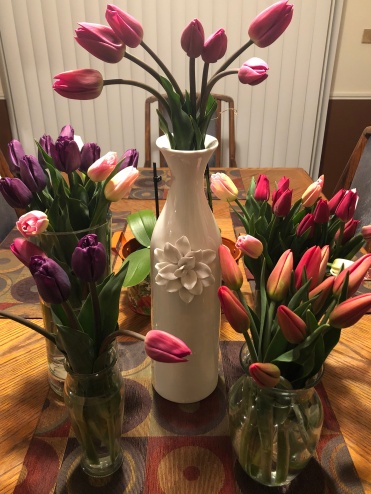 All of these tulips for $20!!