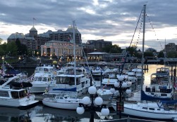 All the lights are turning on near the Inner Harbour