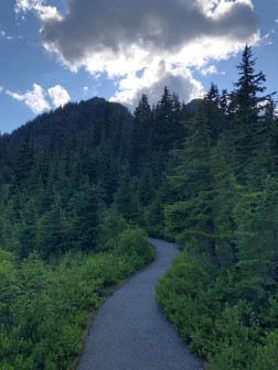 The trail to Picture Lake