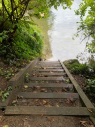 Steps leading directly into Lake Samish