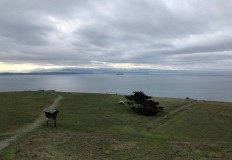 Beautiful views from Fort Ebey State Park