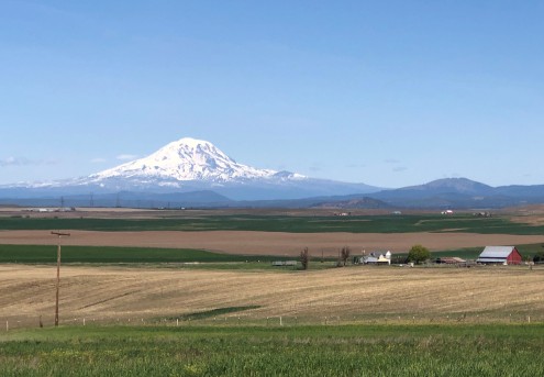 Glorious Mt. Adams as seen from Goldendale